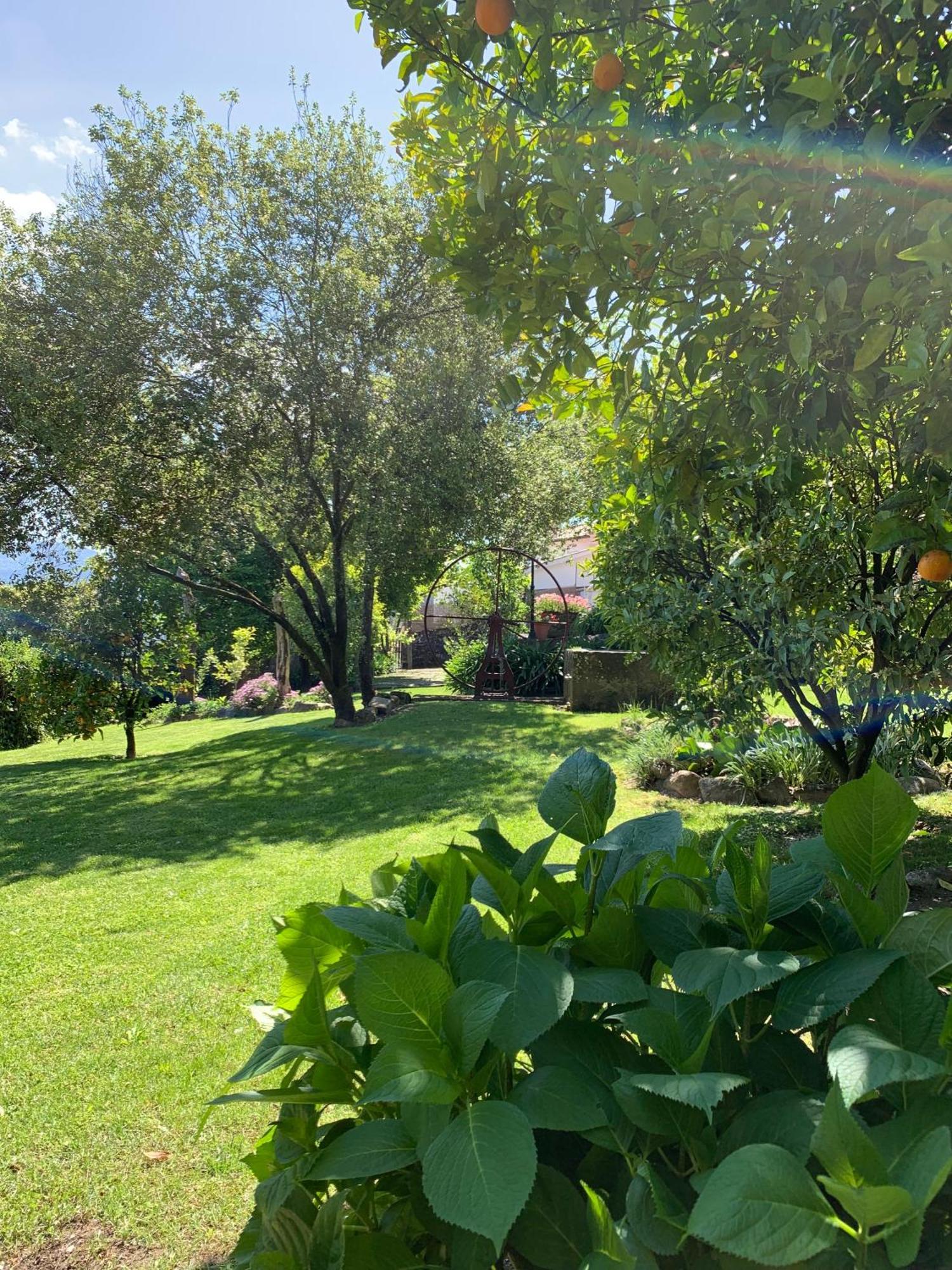 Quinta De Canhoes São Pedro do Sul Екстериор снимка